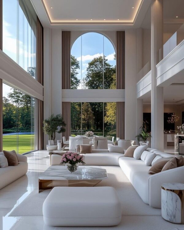 Luxury Sofa Living Area